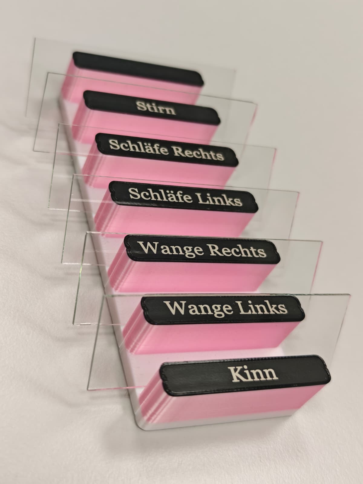 Objektträger-Ständer für Hautanalyse